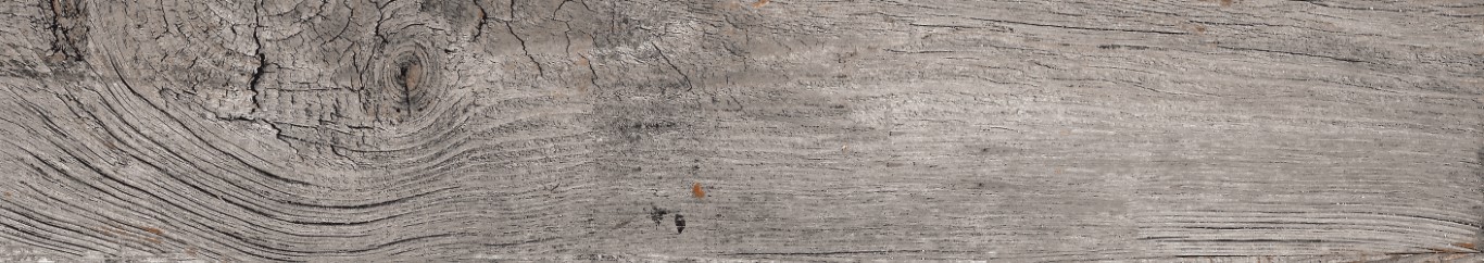 1751625501_zvrsh86CSB.jpg